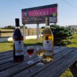 Vignoble Vincent, Vente et dégustation vignoble-vincent-vente-et-degustation-viticulteur-producteur-vin-saint-pierre-oleron-charente-maritime-pineau-cognac