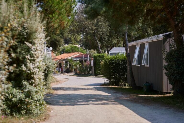 Camping *** de Mindin vue sur mer hebergement-sejour-bord-mer-ocean-camping-de-mindin-saint-brevin-les-pins-loire-atlantique-pays-de-la-loire
