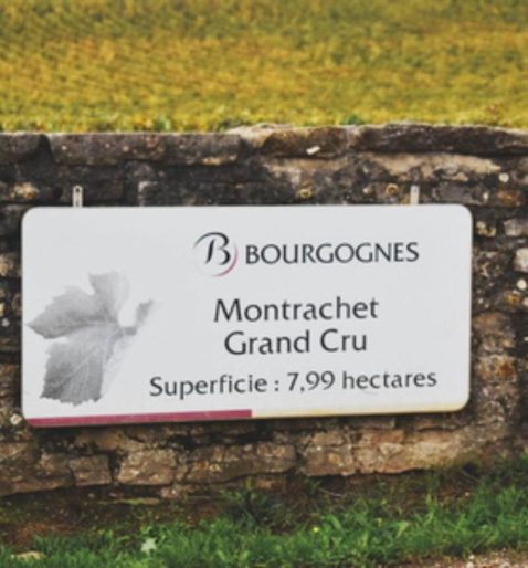 bourgones-chassat-montrachet-decouverte-guide.jpeg (1)