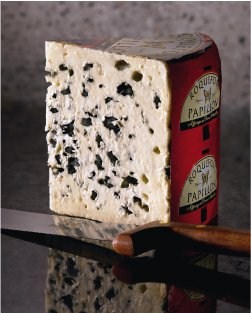 Caves de la fromagerie Roquefort Papillon Roquefort-sur-Soulzon Aveyron