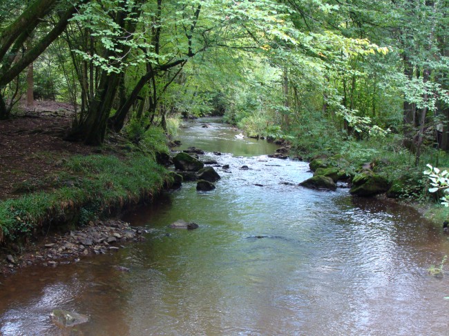 grand-1355327870.jpg