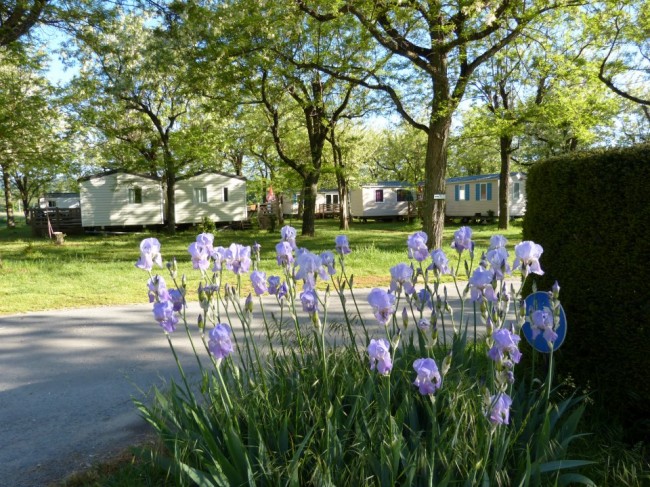 Camping *** Le Sous Perret en Ardèche camping-le-sous-perret-riviere-piscine-ardeche-famille