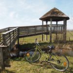 Val de Loire Ecotourisme, la Touraine en nature !-val-de-loire-ecotourisme-randonnee-decouverte-touraine-nature-culture-terroir-weekend-nature-insolite-indre-et-loire-gregoire-paquet-guide-accompagnateur