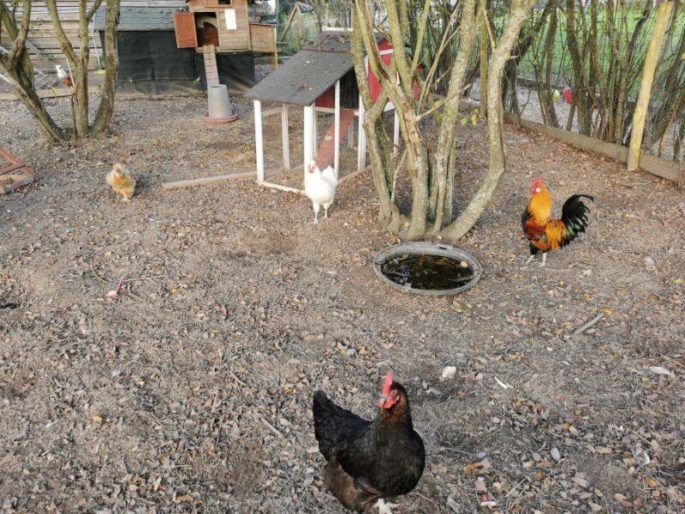 Les petites maisons dans la prairie