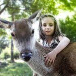Parc animalier en famille : Natural'Parc